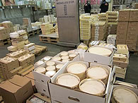 白カビ系のチーズ