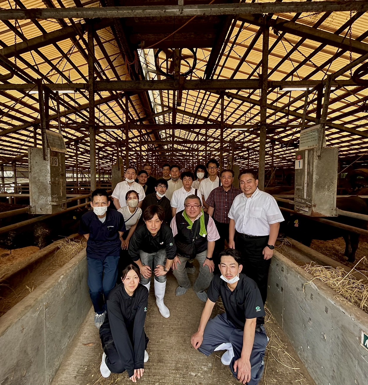 全国二冠◎しまね和牛牧場見学